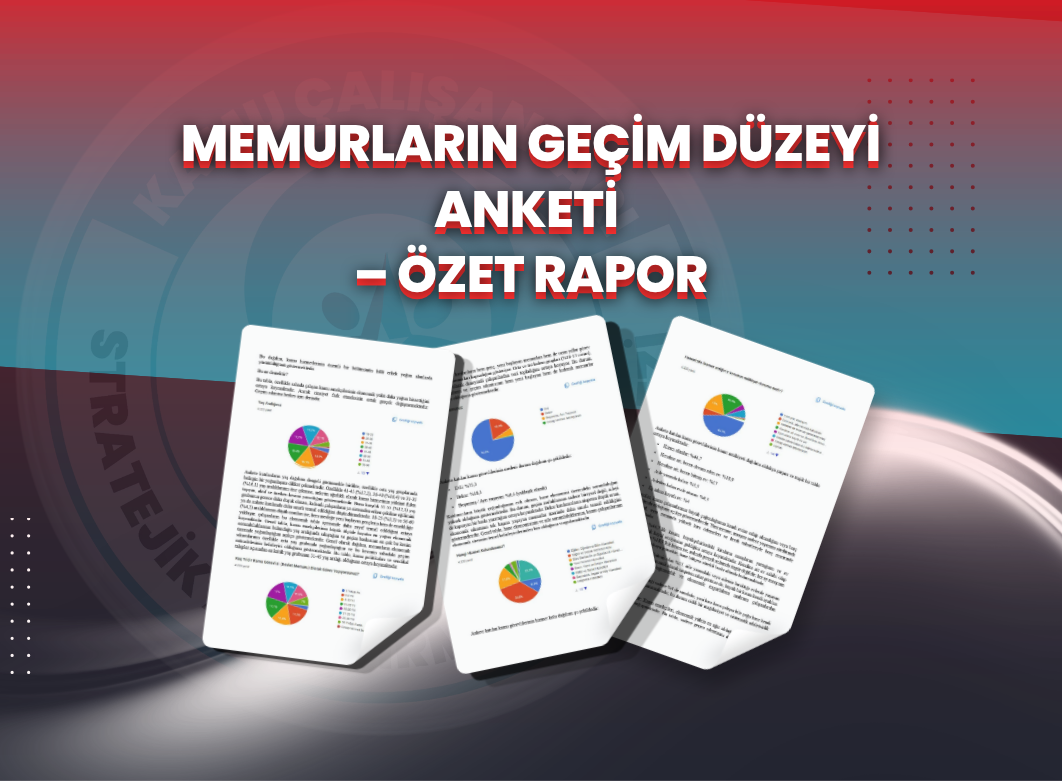 MEMURLARIN GEÇİM DÜZEYİ ANKETİ – ÖZET RAPOR